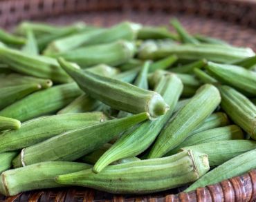 Okra